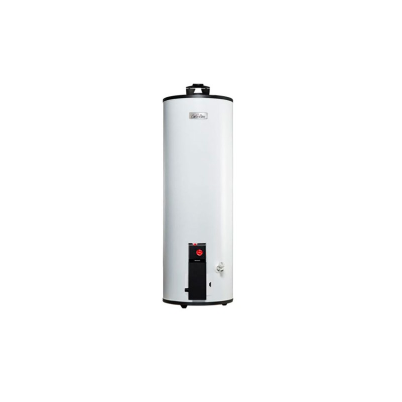 Calentador maximus G60, gas LP, 6 servicios
