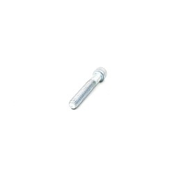 Tornillo para fijación de dados