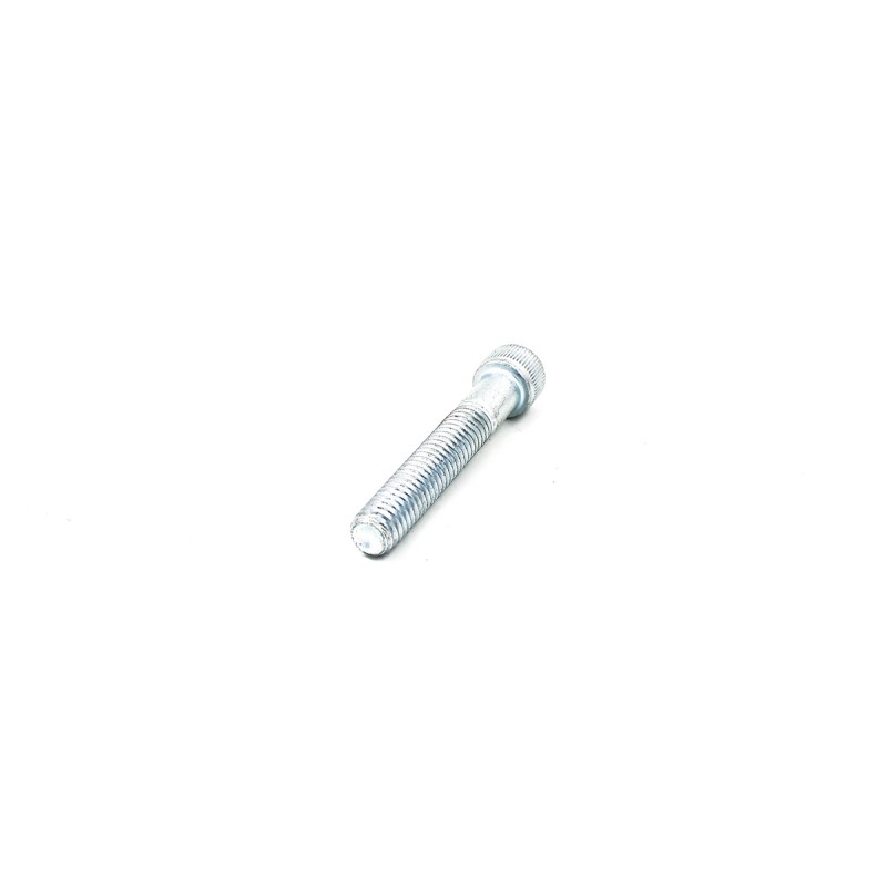 Tornillo para fijación de dados