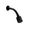 Regadera con brazo REC-03-EB color negro