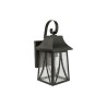 Farol Antonella FTL3421/N color negro